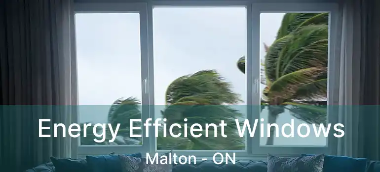  Energy Efficient Windows Malton - ON