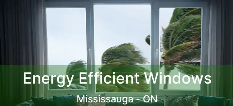  Energy Efficient Windows Mississauga - ON