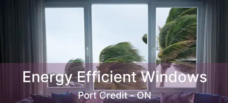  Energy Efficient Windows Port Credit - ON