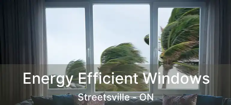 Energy Efficient Windows Streetsville - ON