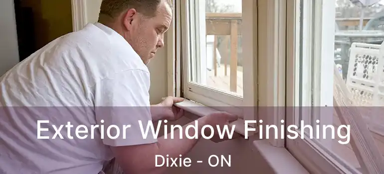  Exterior Window Finishing Dixie - ON