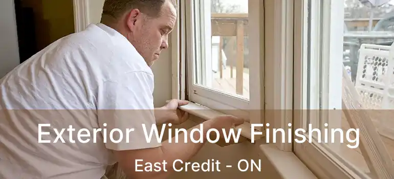  Exterior Window Finishing East Credit - ON