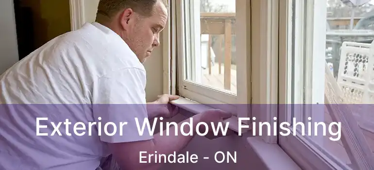  Exterior Window Finishing Erindale - ON