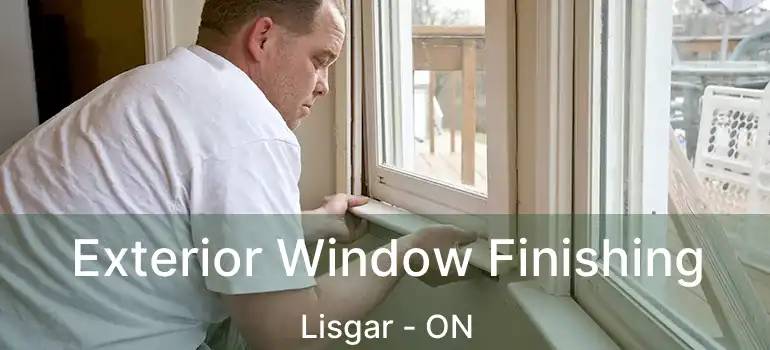  Exterior Window Finishing Lisgar - ON