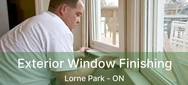  Exterior Window Finishing Lorne Park - ON
