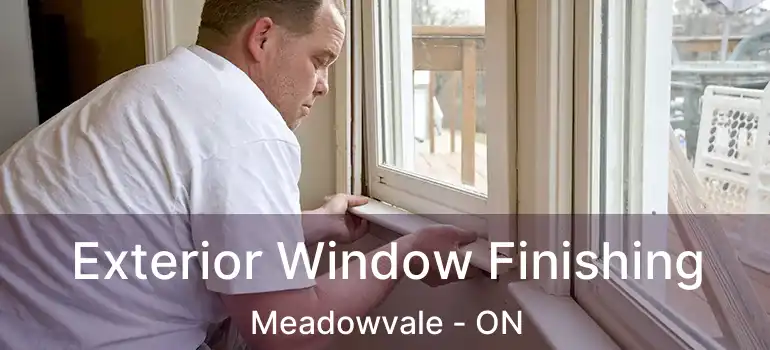  Exterior Window Finishing Meadowvale - ON