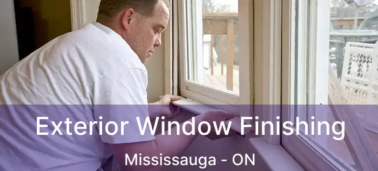  Exterior Window Finishing Mississauga - ON