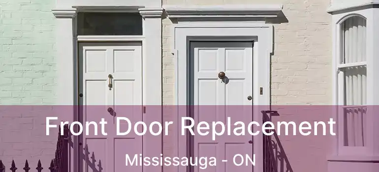  Front Door Replacement Mississauga - ON