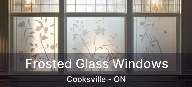  Frosted Glass Windows Cooksville - ON