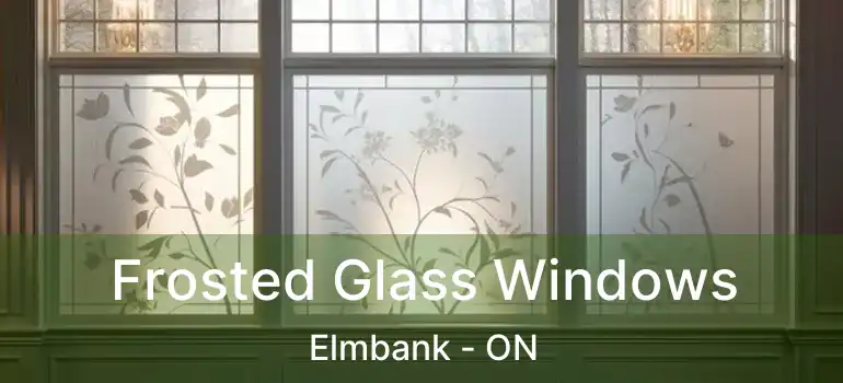  Frosted Glass Windows Elmbank - ON
