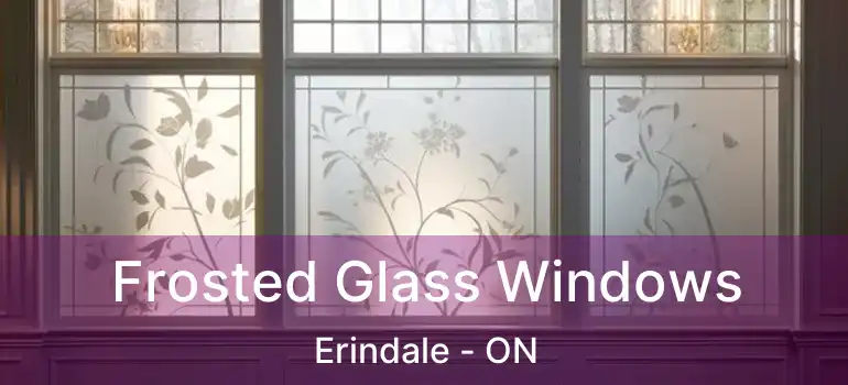  Frosted Glass Windows Erindale - ON