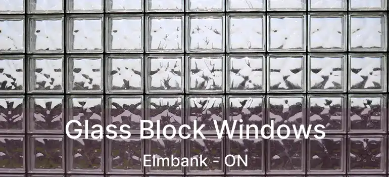  Glass Block Windows Elmbank - ON
