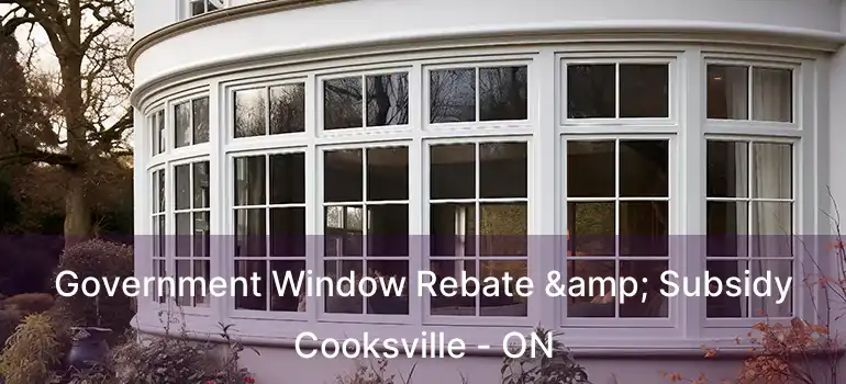  Government Window Rebate & Subsidy Cooksville - ON