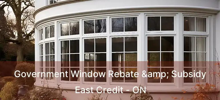  Government Window Rebate & Subsidy East Credit - ON