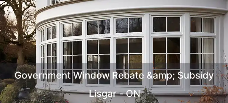  Government Window Rebate & Subsidy Lisgar - ON