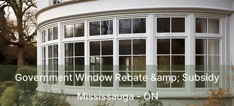  Government Window Rebate & Subsidy Mississauga - ON
