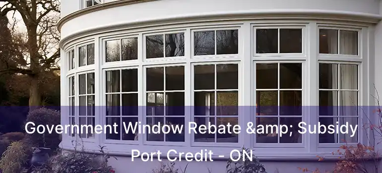 Government Window Rebate & Subsidy Port Credit - ON