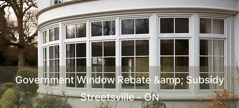  Government Window Rebate & Subsidy Streetsville - ON