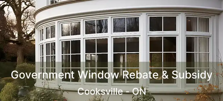  Government Window Rebate & Subsidy Cooksville - ON