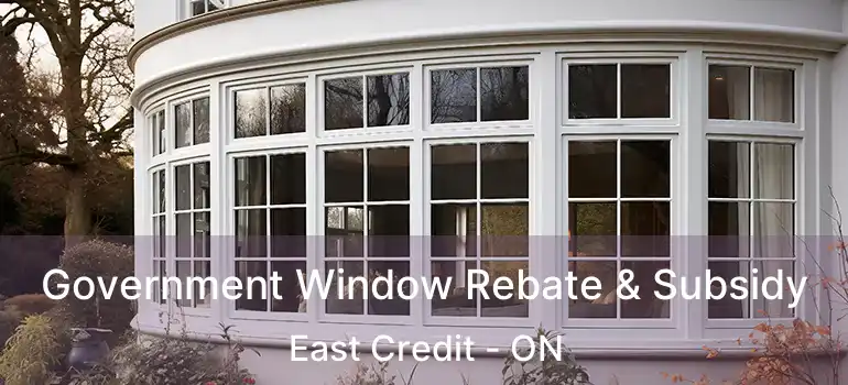  Government Window Rebate & Subsidy East Credit - ON