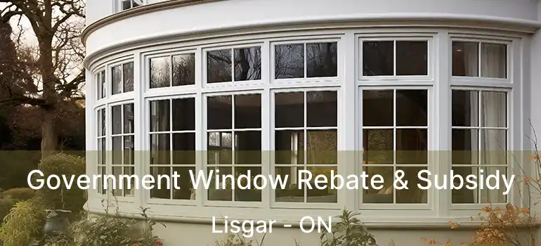  Government Window Rebate & Subsidy Lisgar - ON
