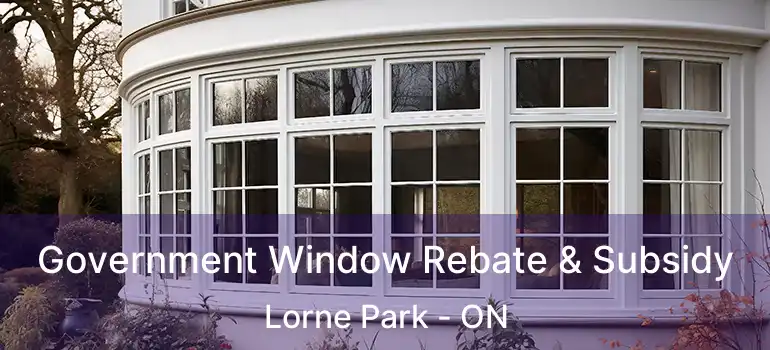  Government Window Rebate & Subsidy Lorne Park - ON