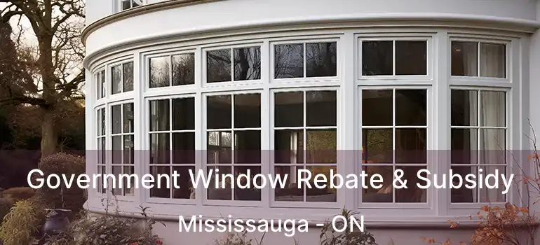  Government Window Rebate & Subsidy Mississauga - ON