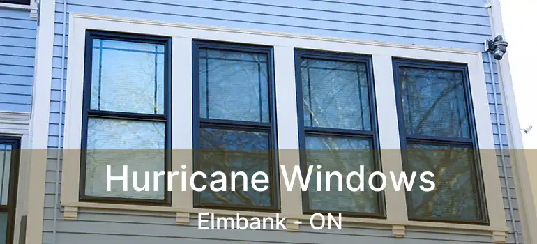  Hurricane Windows Elmbank - ON