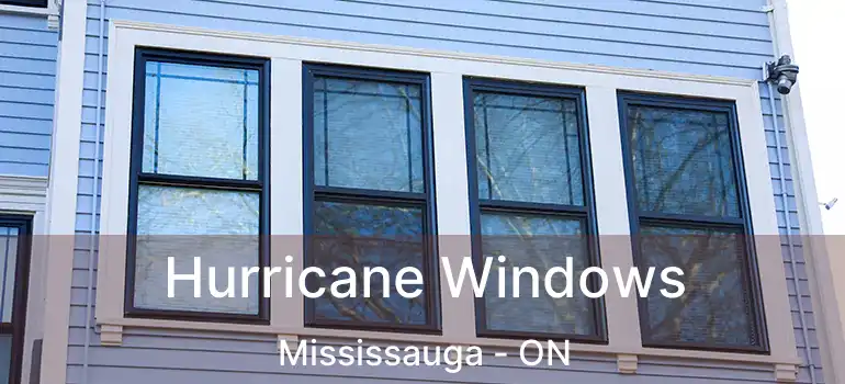  Hurricane Windows Mississauga - ON
