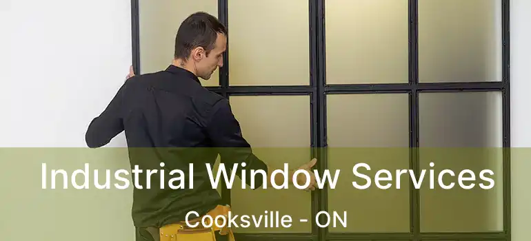  Industrial Window Services Cooksville - ON