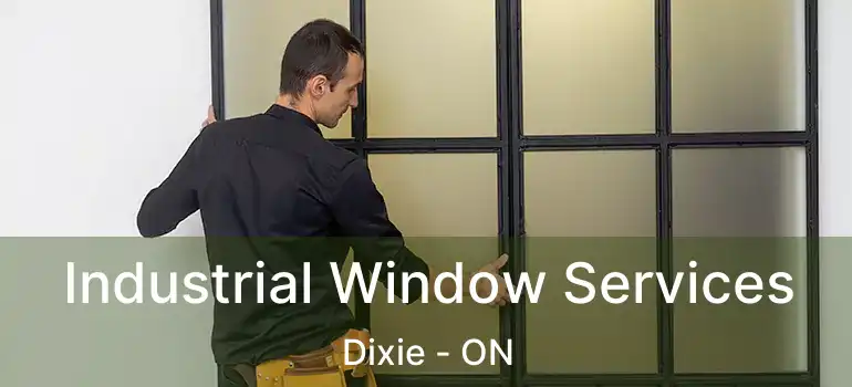  Industrial Window Services Dixie - ON