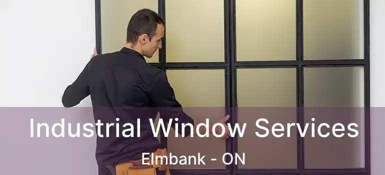  Industrial Window Services Elmbank - ON