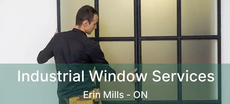  Industrial Window Services Erin Mills - ON