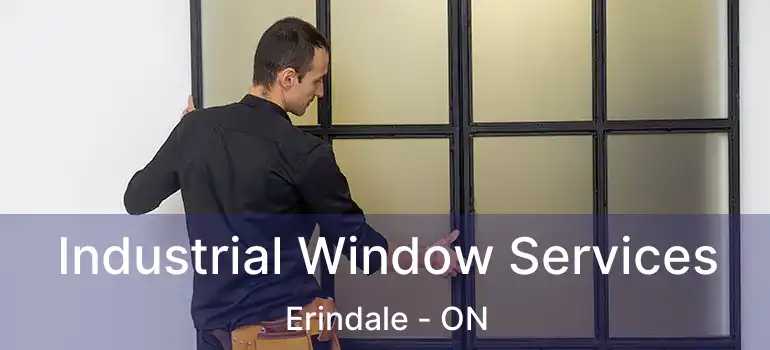  Industrial Window Services Erindale - ON