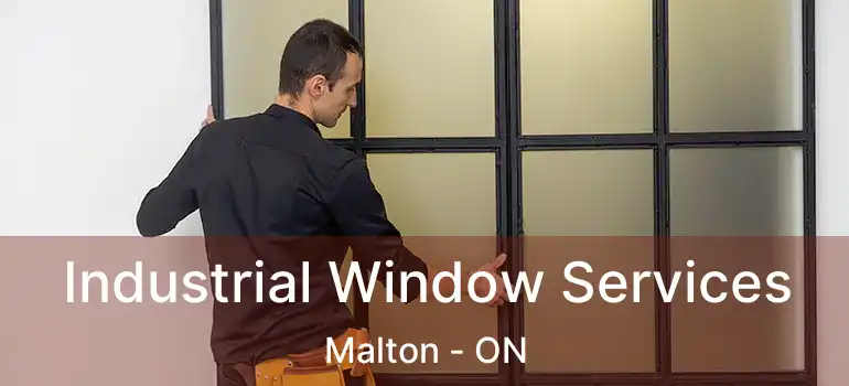  Industrial Window Services Malton - ON