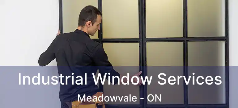  Industrial Window Services Meadowvale - ON