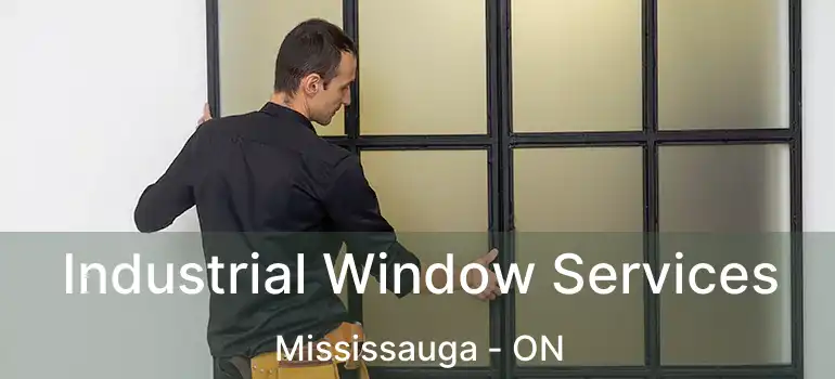  Industrial Window Services Mississauga - ON