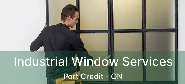  Industrial Window Services Port Credit - ON
