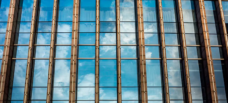 Professional Window Tinting Services in Mississauga, ON