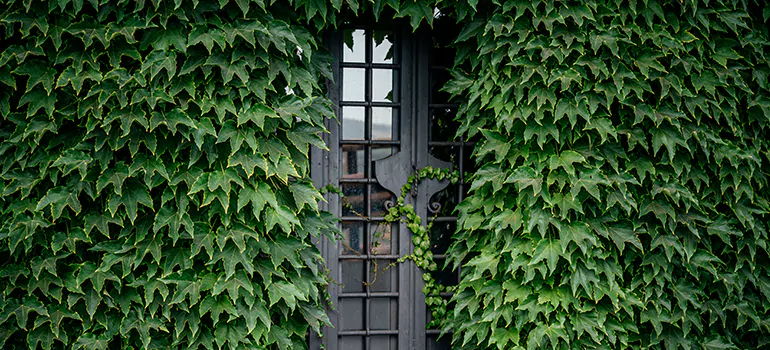 Garden Gate Repair in Mississauga, ON