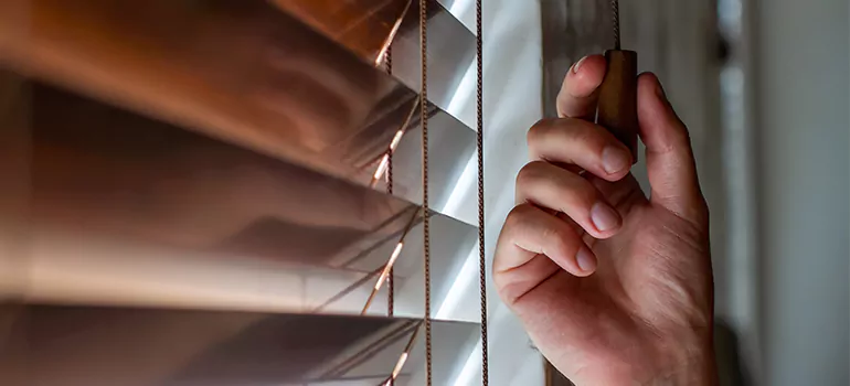 Double Roller Blinds in Mississauga, Ontario