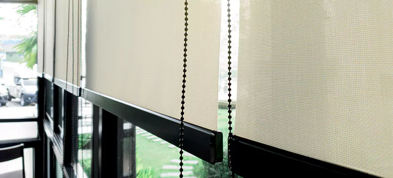 Blackout Window Shades in Mississauga, Ontario