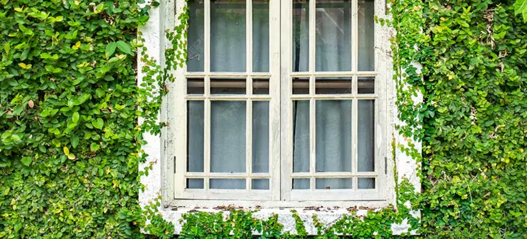 arden Window Repair Near Me in Mississauga, ON