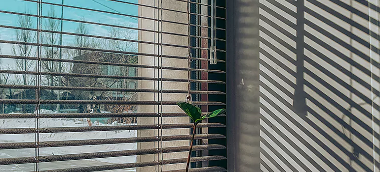 Commercial Window Blinds in Mississauga, ON
