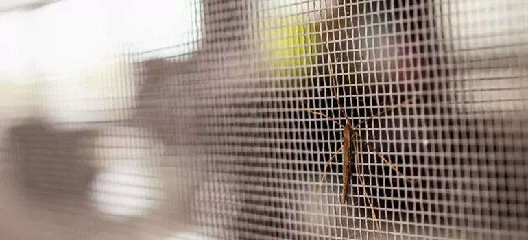 Repair Mosquito Mesh For Windows in Mississauga, Ontario