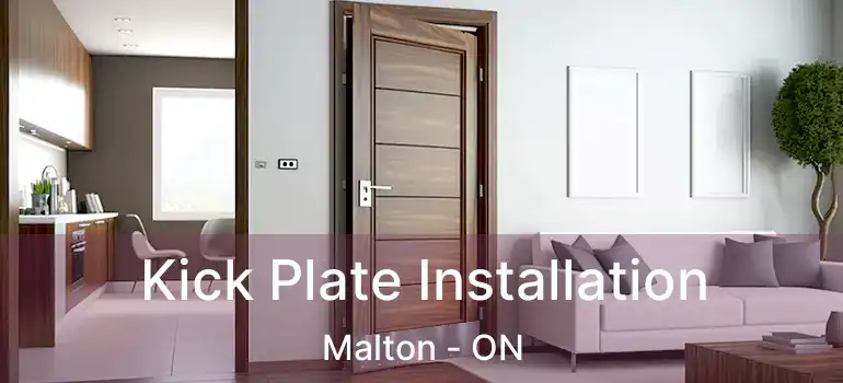 Kick Plate Installation Malton - ON