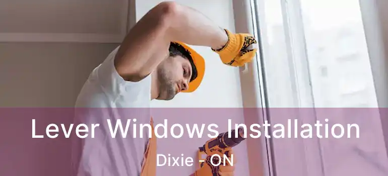  Lever Windows Installation Dixie - ON
