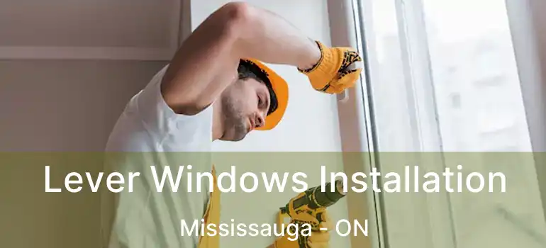  Lever Windows Installation Mississauga - ON