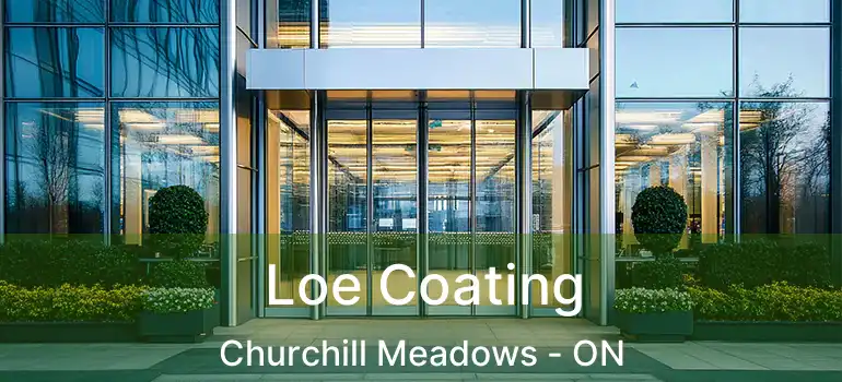  Loe Coating Churchill Meadows - ON