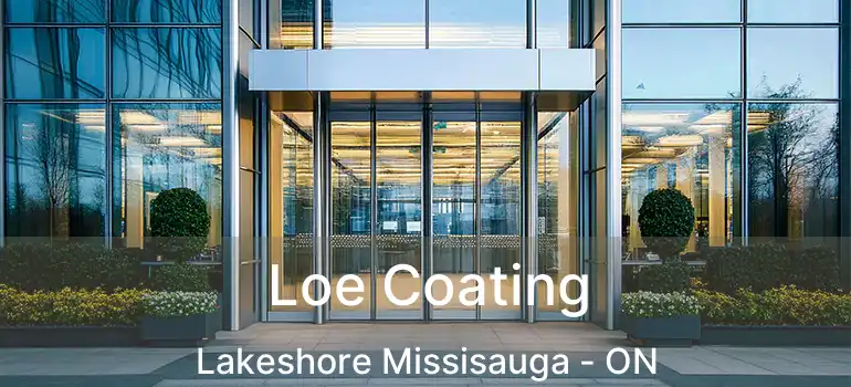  Loe Coating Lakeshore Missisauga - ON